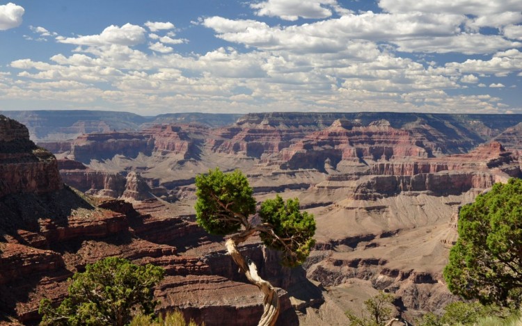 Fonds d'cran Nature Canyons grand canyon