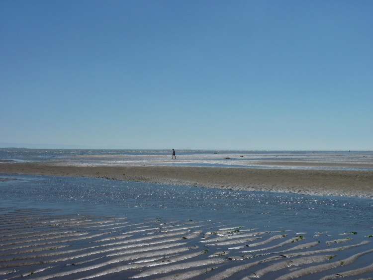 Fonds d'cran Nature Mers - Ocans - Plages Point Aride