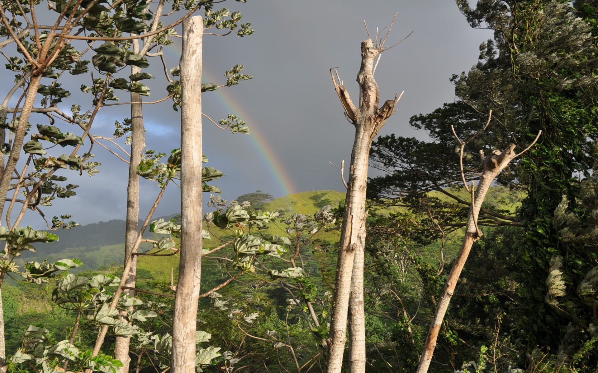 Fonds d'cran Nature Arcs-en-ciel 