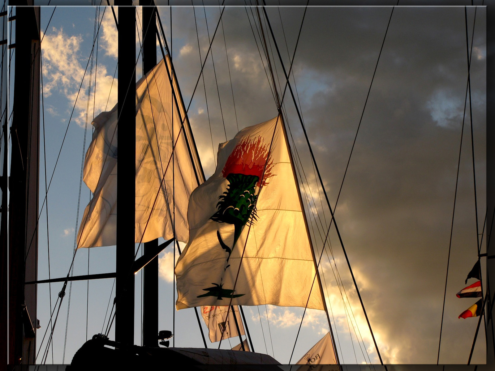 Fonds d'cran Bateaux Voiliers Voiles de Saint Tropez