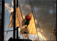 Wallpapers Boats Voiles de Saint Tropez