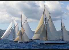 Wallpapers Boats Voiles de Saint Tropez