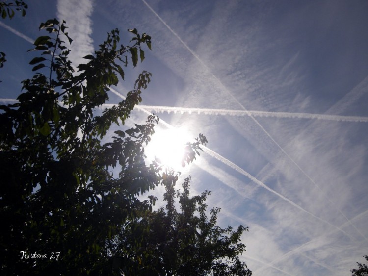 Fonds d'cran Nature Ciel - Nuages Ciel, nuages et feuillage...