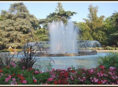 Fonds d'cran Nature Toulouse - Jardin du Grand Rond