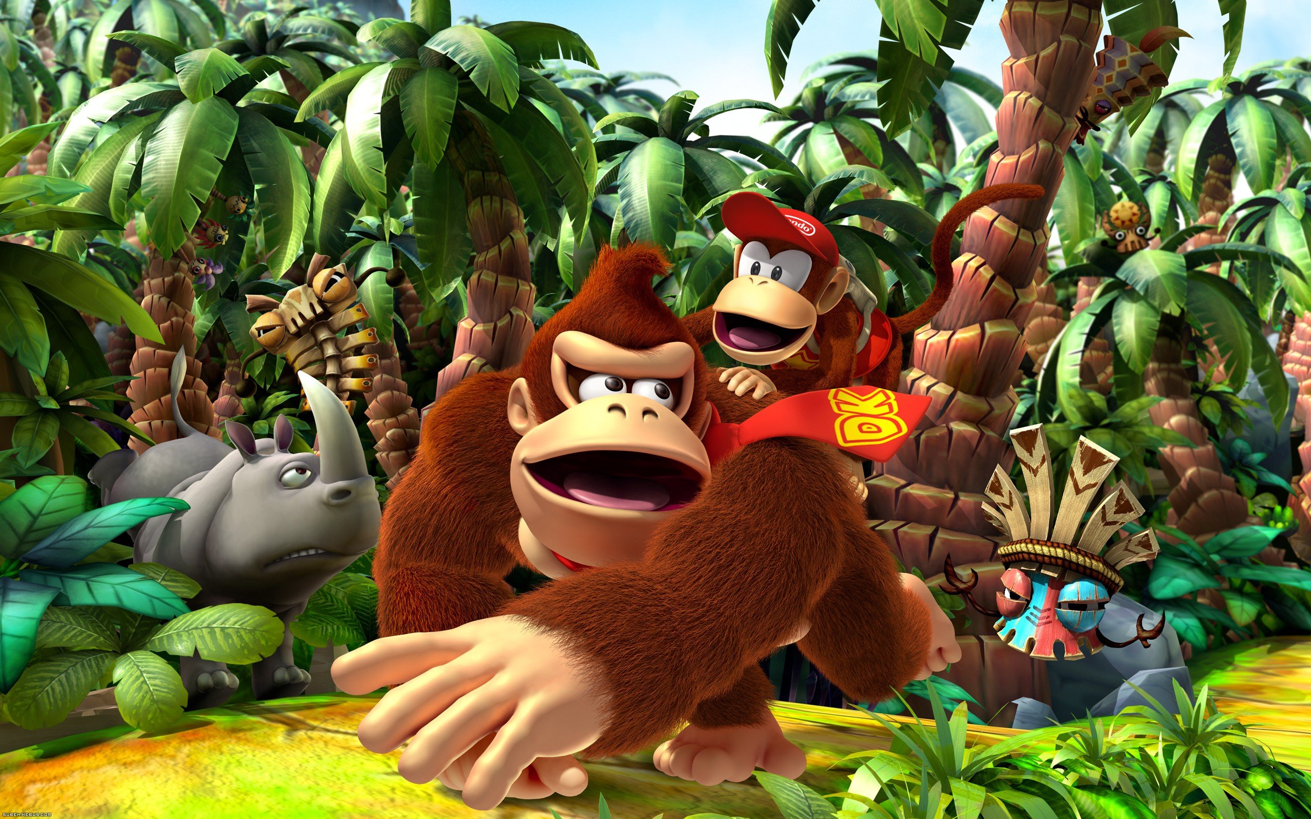 Fonds d'cran Jeux Vido Donkey Kong Country Returns Donkey Kong Country Returns