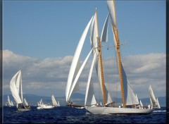 Fonds d'cran Bateaux Voiles de Saint Tropez