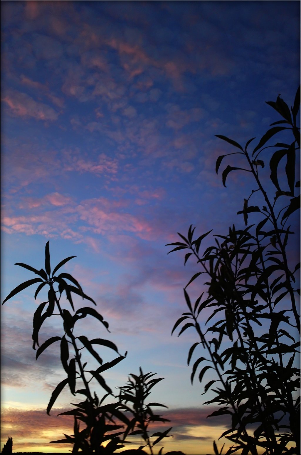 Fonds d'cran Nature Couchers et levers de Soleil Lever de soleil dans l'Hrault (34)