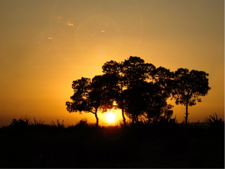 Wallpapers Nature Sunsets and sunrises Quelque part en Afrique