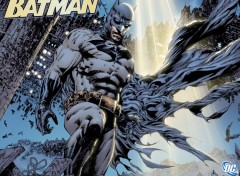 Fonds d'cran Comics et BDs batman