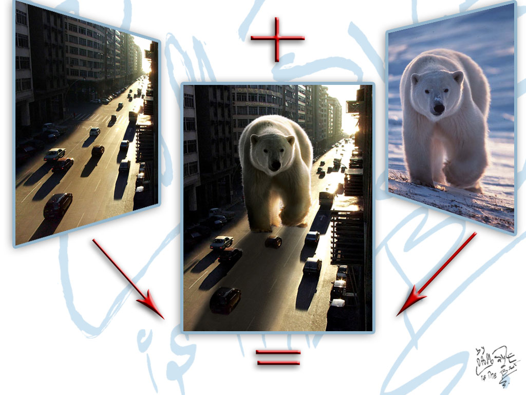 Wallpapers Digital Art Animals Polar Bear + city