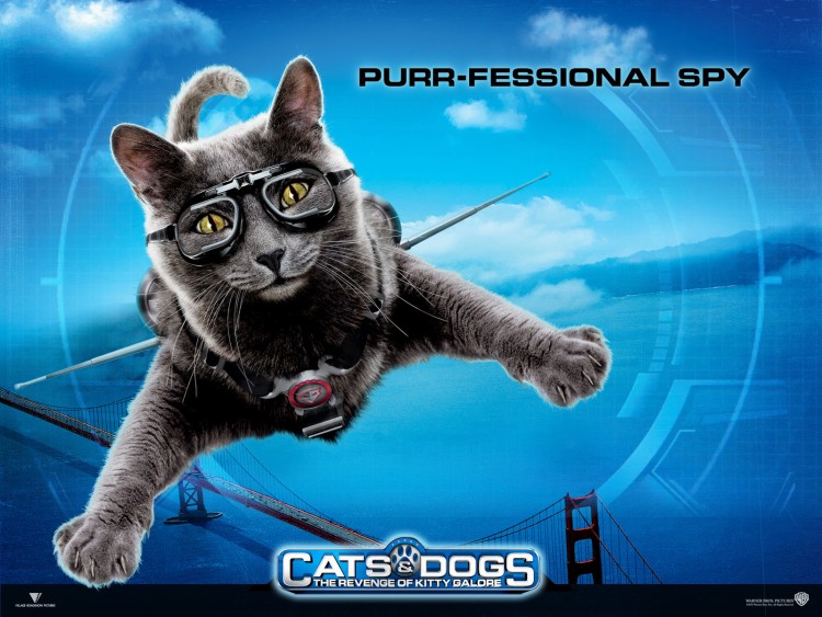 Wallpapers Movies Cats and Dogs - The Revenge of Kitty Galore Wallpaper N270209