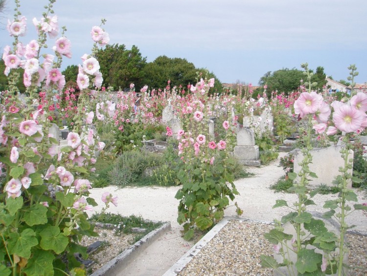 Fonds d'cran Constructions et architecture Cimetires cimetire fleuri