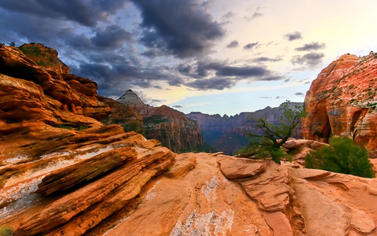 Fonds d'cran Nature Canyons Zion National Park