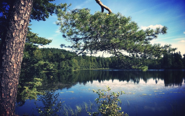 Fonds d'cran Nature Lacs - Etangs Lacs