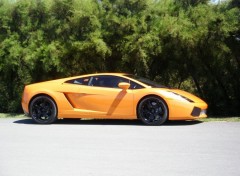 Wallpapers Cars Lamborghini