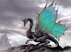 Fonds d'cran Fantasy et Science Fiction dragon meraude