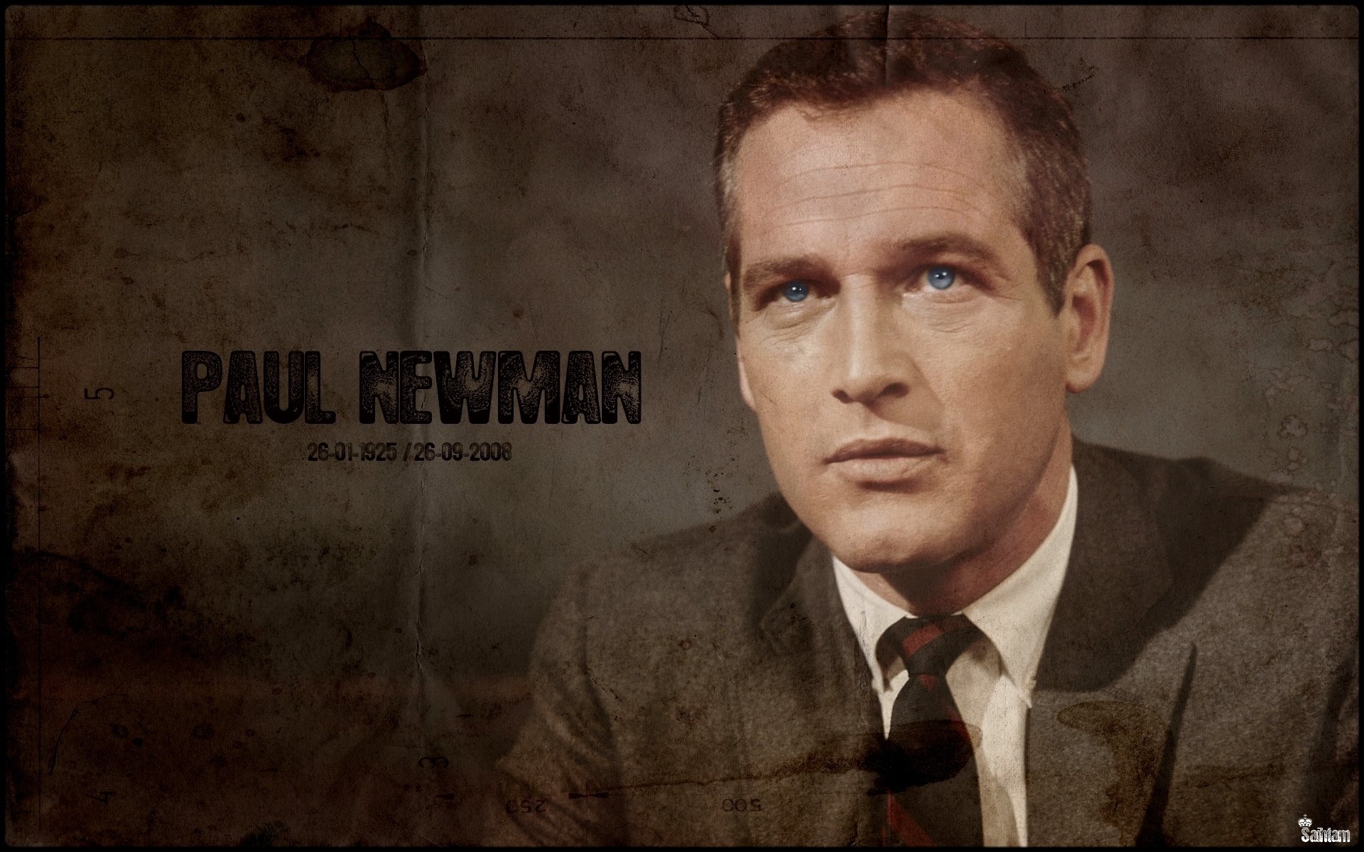 Fonds d'cran Clbrits Homme Paul Newman Paul Newman