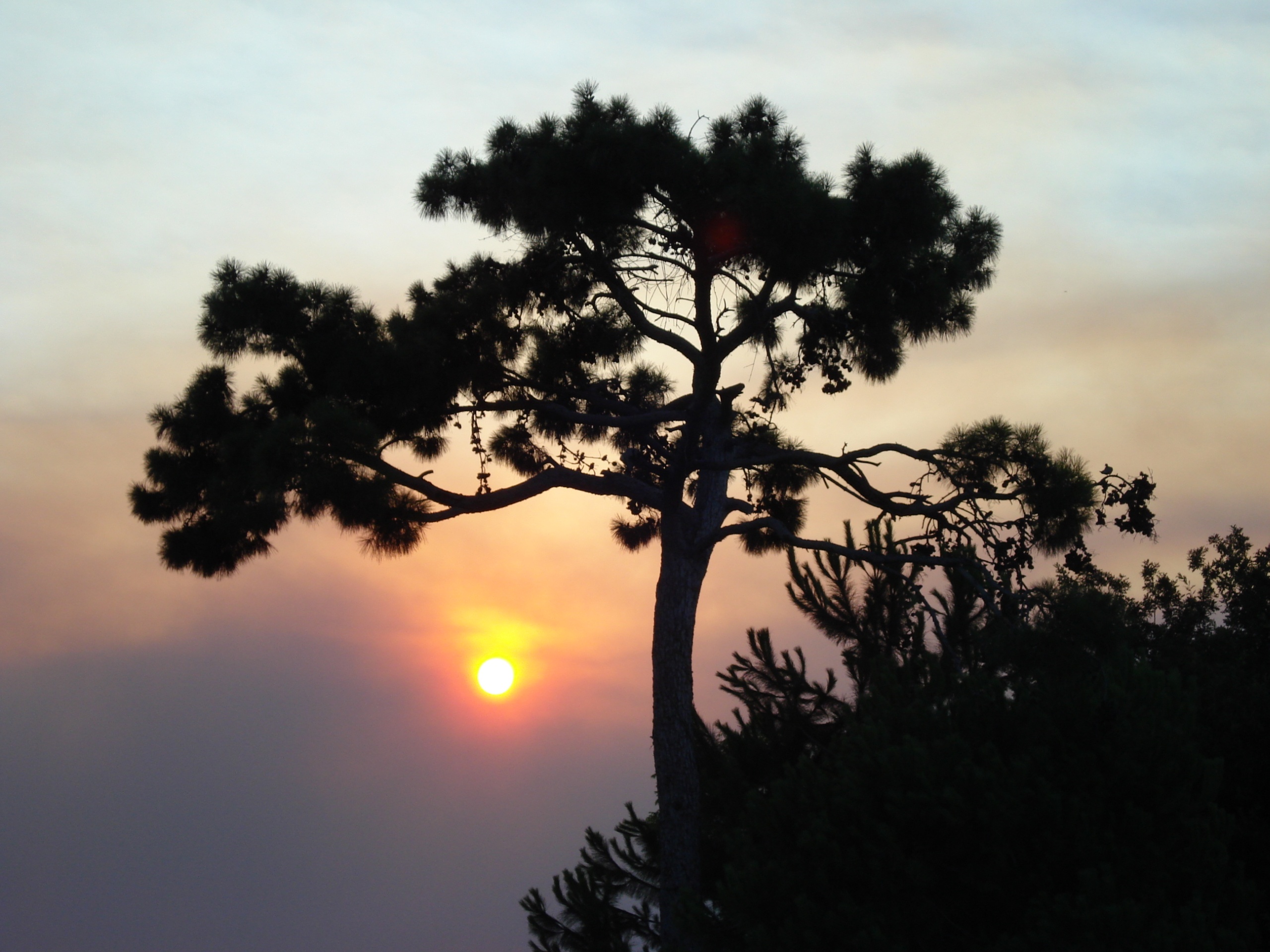 Fonds d'cran Nature Couchers et levers de Soleil 