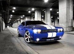 Wallpapers Cars dodge Challenger srt8 392