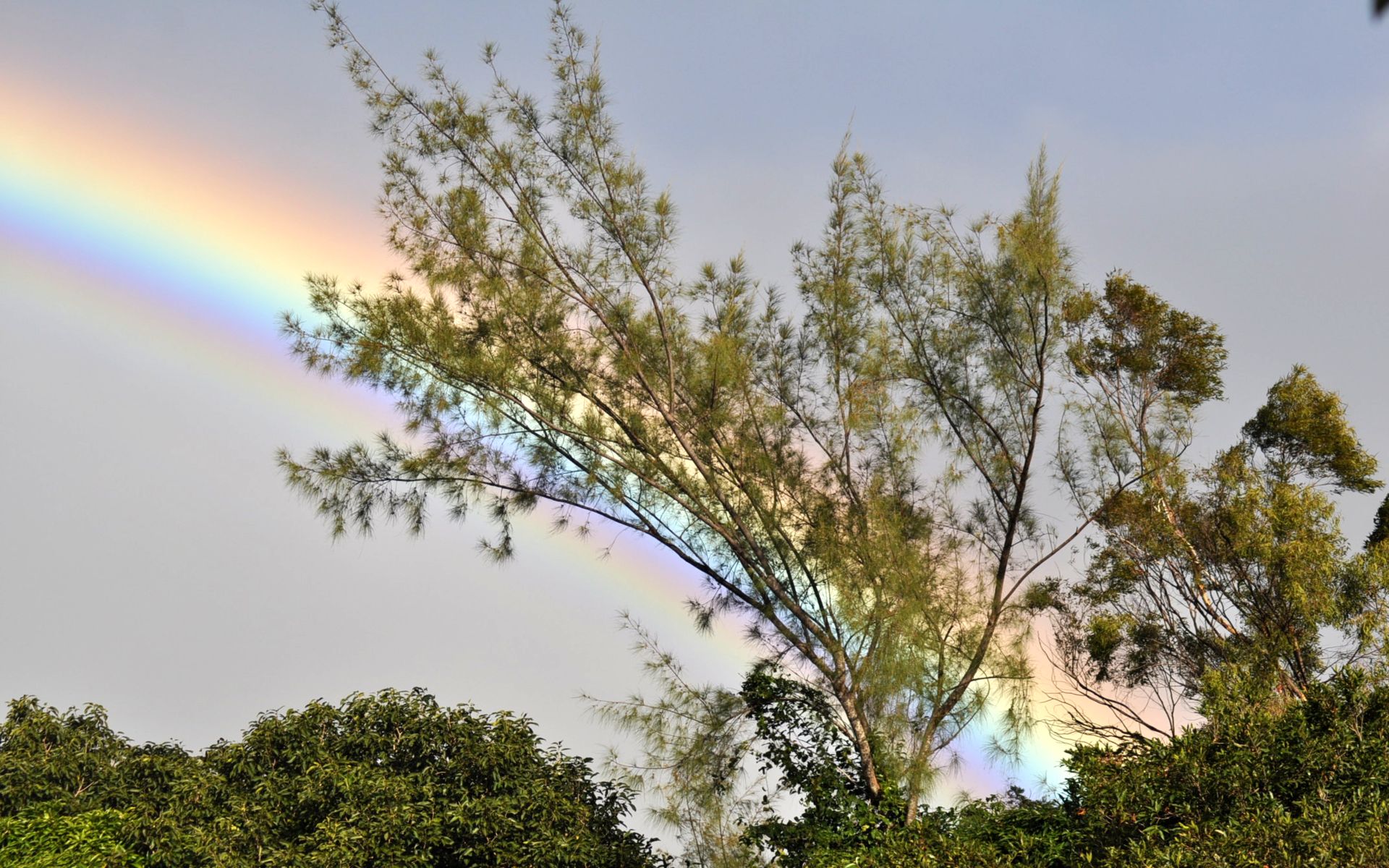 Fonds d'cran Nature Arcs-en-ciel En transparence