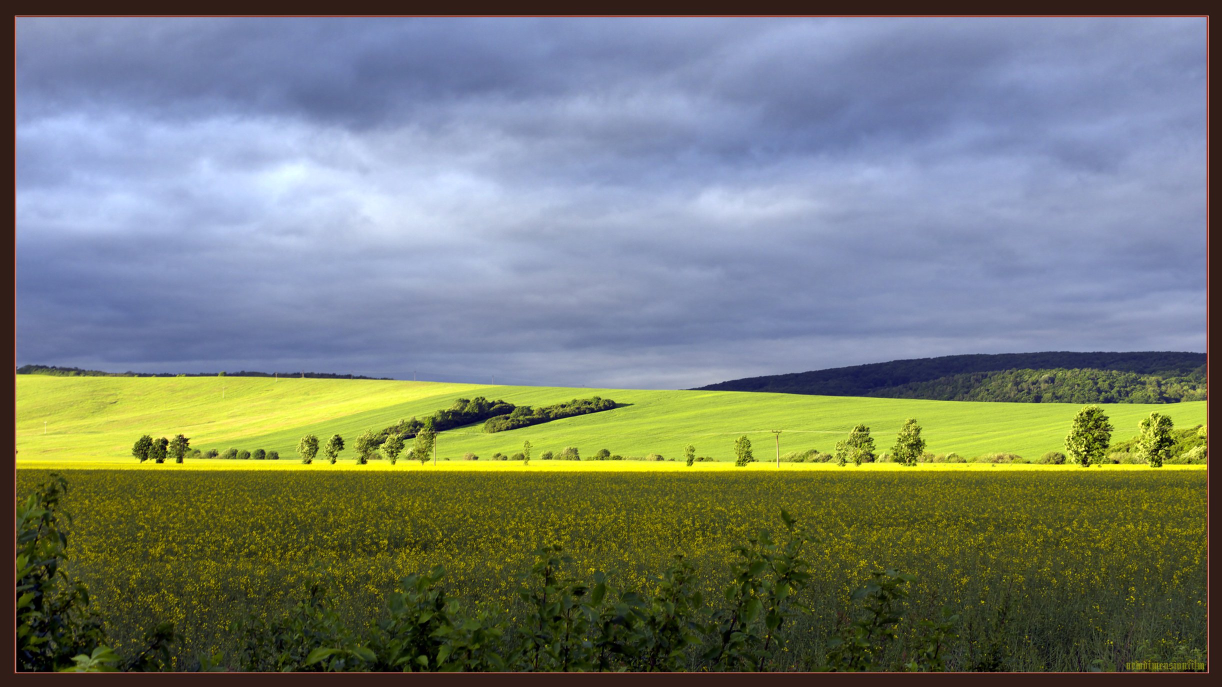 Fonds d'cran Nature Champs - Prairies ďt du soir rve