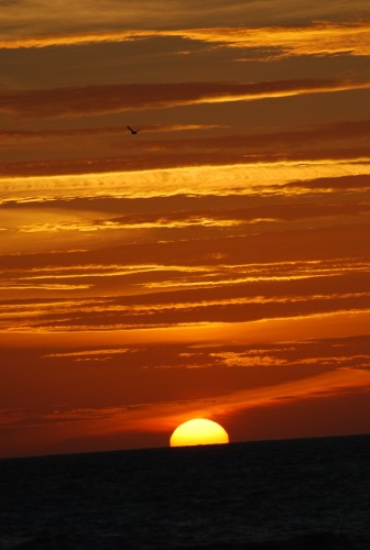 Fonds d'cran Nature Couchers et levers de Soleil 