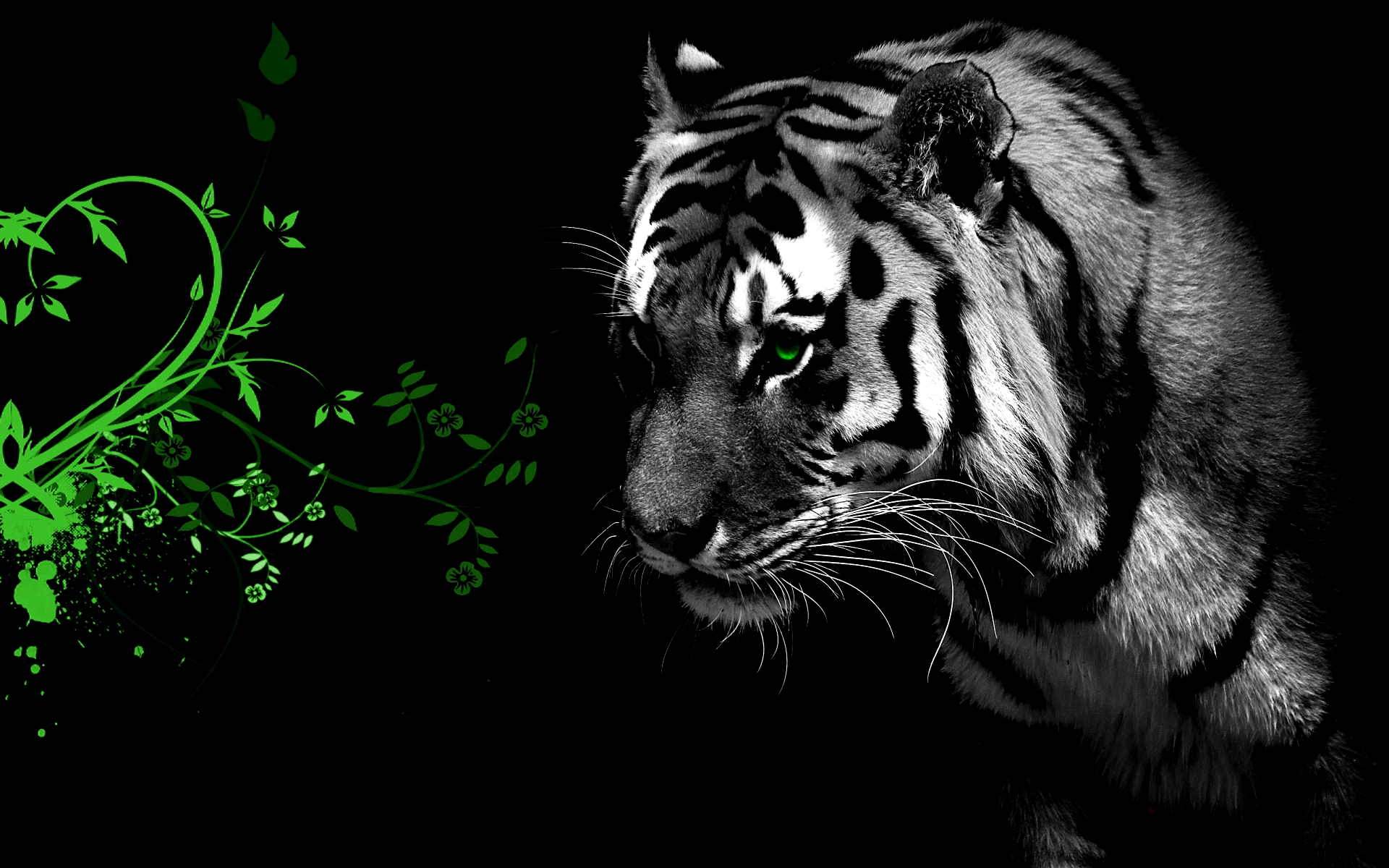 Fonds d'cran Animaux Flins - Tigres Green Tiger