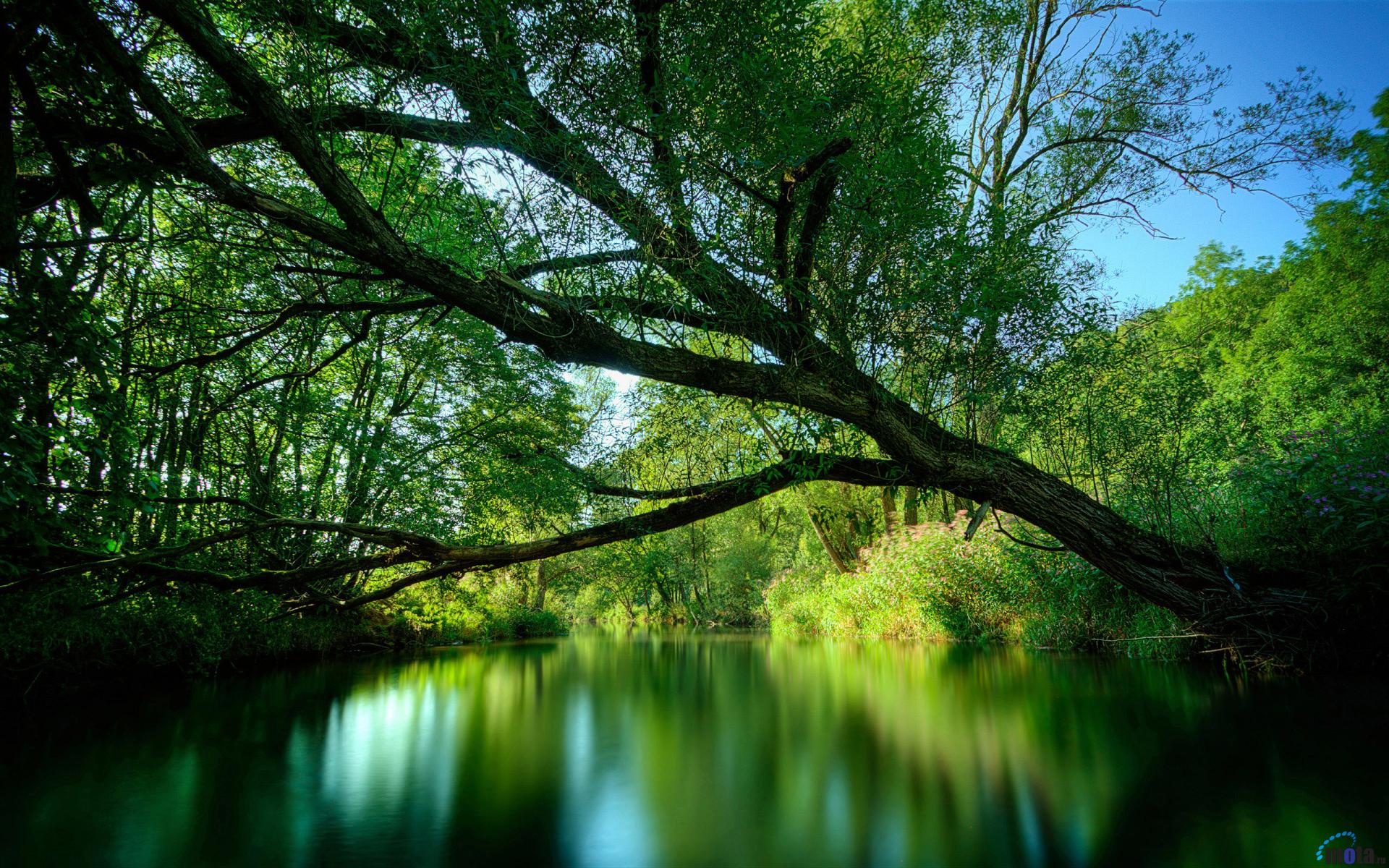 Fonds d'cran Nature Lacs - Etangs Vert