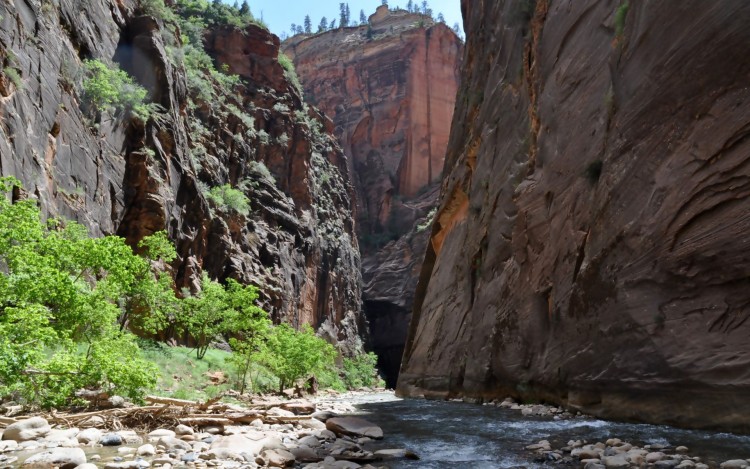 Fonds d'cran Nature Canyons The Narrows  Zion