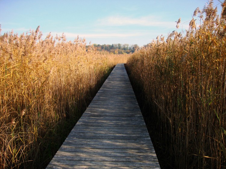 Fonds d'cran Nature Saisons - Automne automne 2