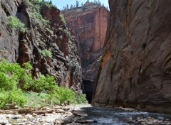 Fonds d'cran Nature The Narrows  Zion