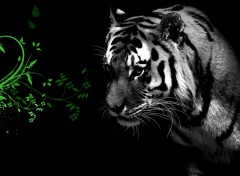 Fonds d'cran Animaux Green Tiger