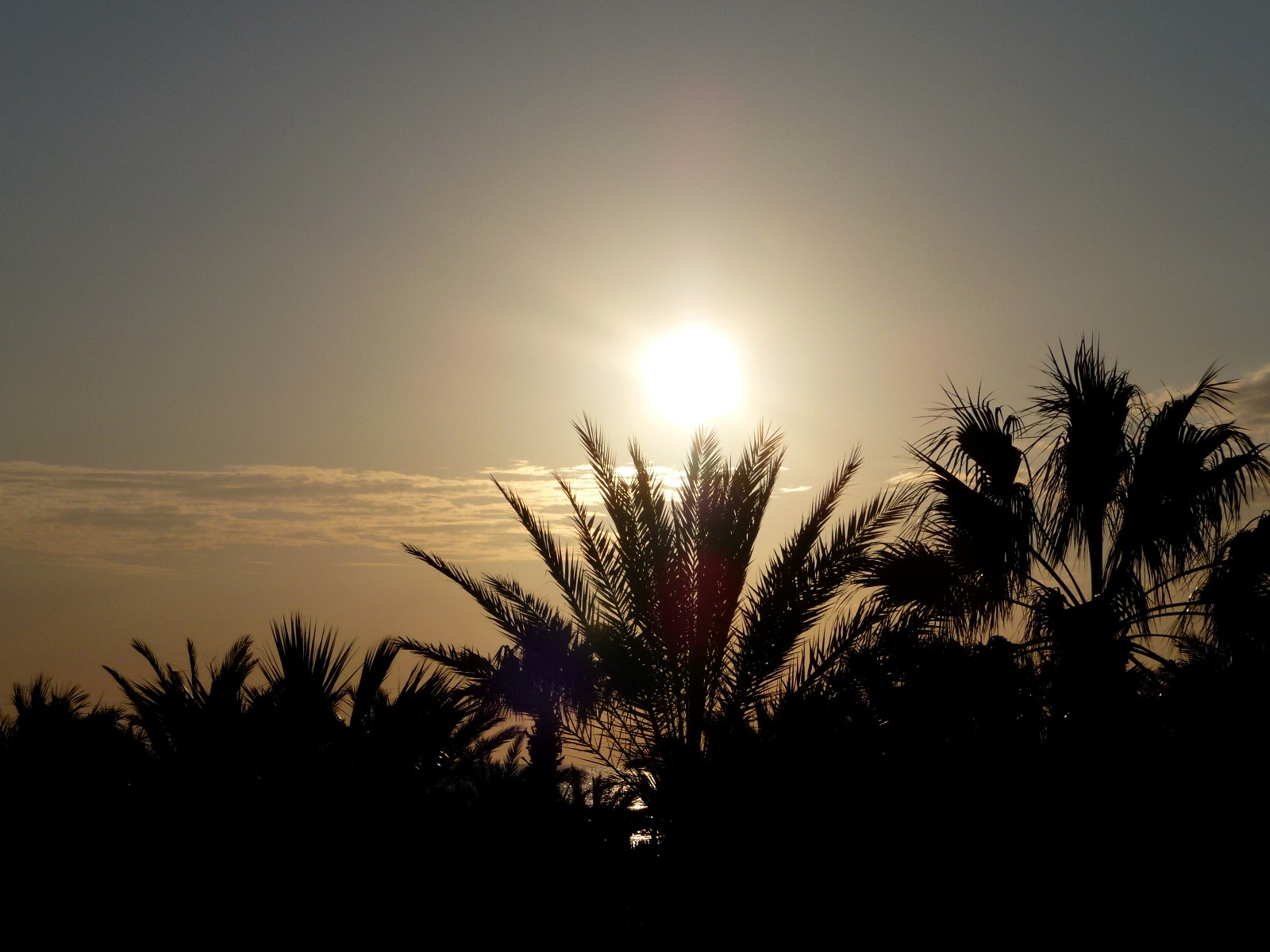 Fonds d'cran Nature Couchers et levers de Soleil Saveur d'un soir