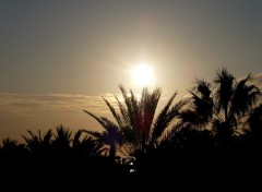 Fonds d'cran Nature Saveur d'un soir