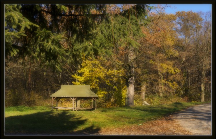 Fonds d'cran Nature Arbres - Forts dautomne fort 2