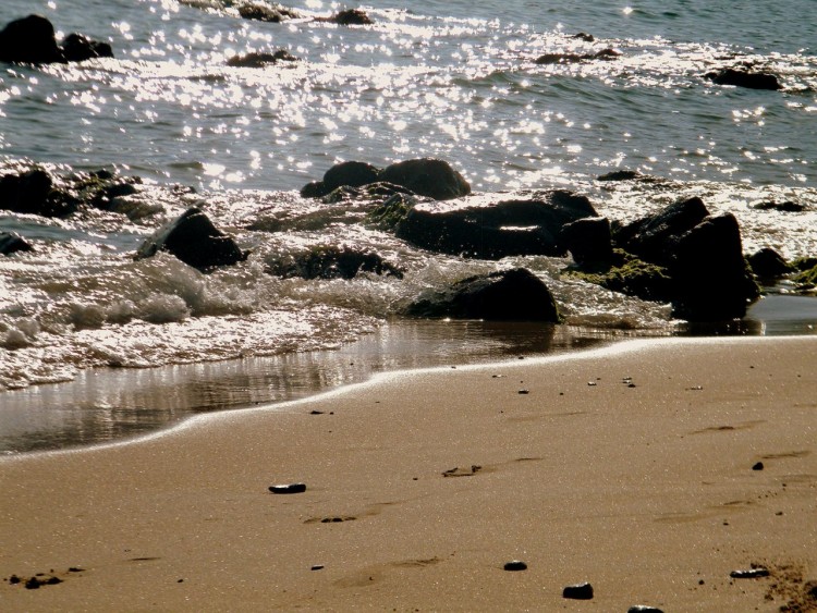 Fonds d'cran Nature Mers - Ocans - Plages au bord de l 'eau