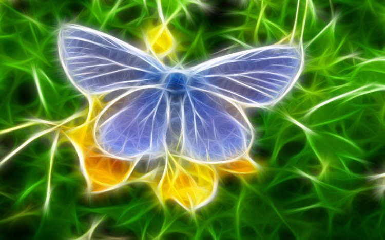 Wallpapers Digital Art Animals Papillon numrique