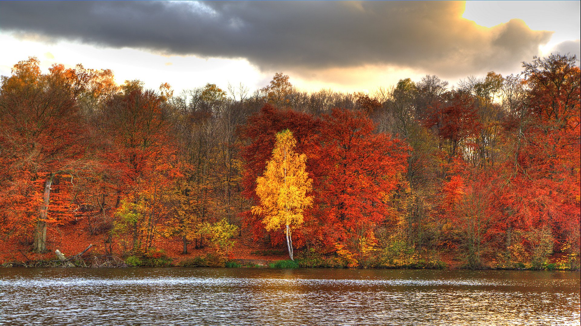 Fonds d'cran Nature Saisons - Automne Couleurs d\'automne - 1 