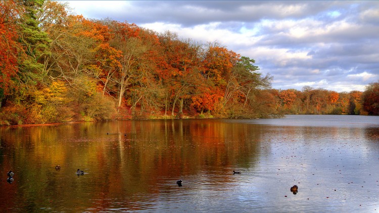 Fonds d'cran Nature Saisons - Automne Couleurs d'automne - 2