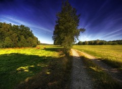 Fonds d'cran Nature Campagne