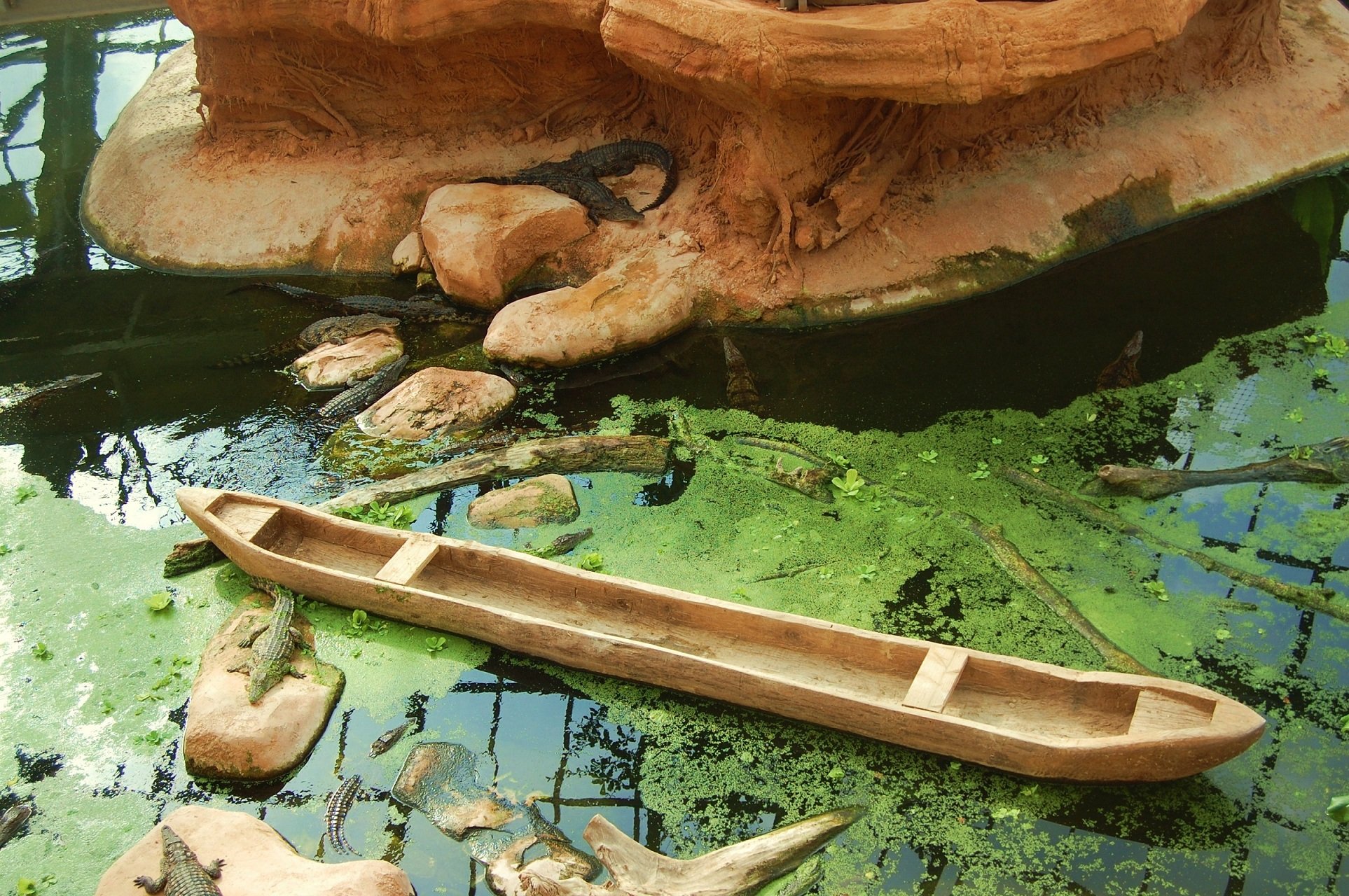 Fonds d'cran Animaux Crocodiles - Alligators - Camans 