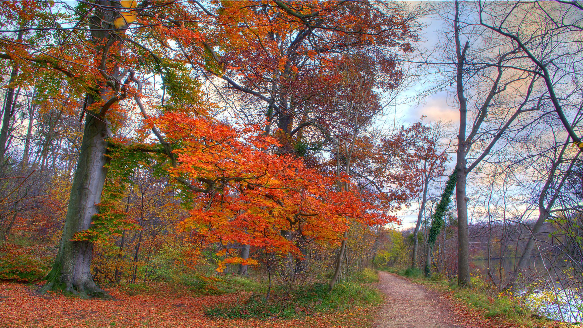 Fonds d'cran Nature Saisons - Automne Sentier d'automne - 1