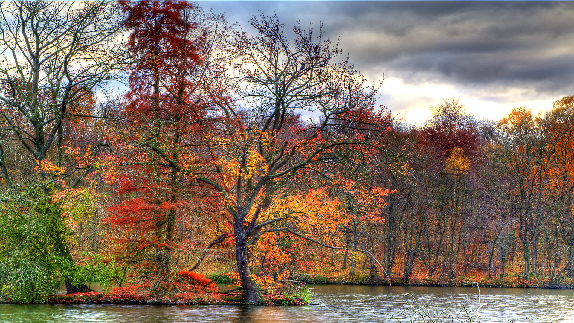 Fonds d'cran Nature Saisons - Automne 