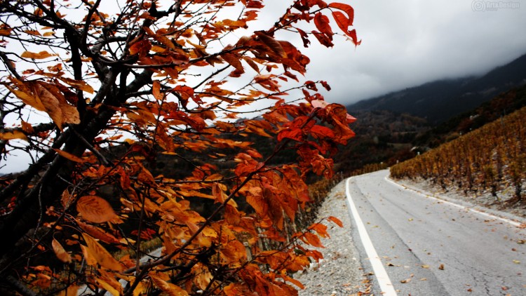 Fonds d'cran Nature Saisons - Automne Automne