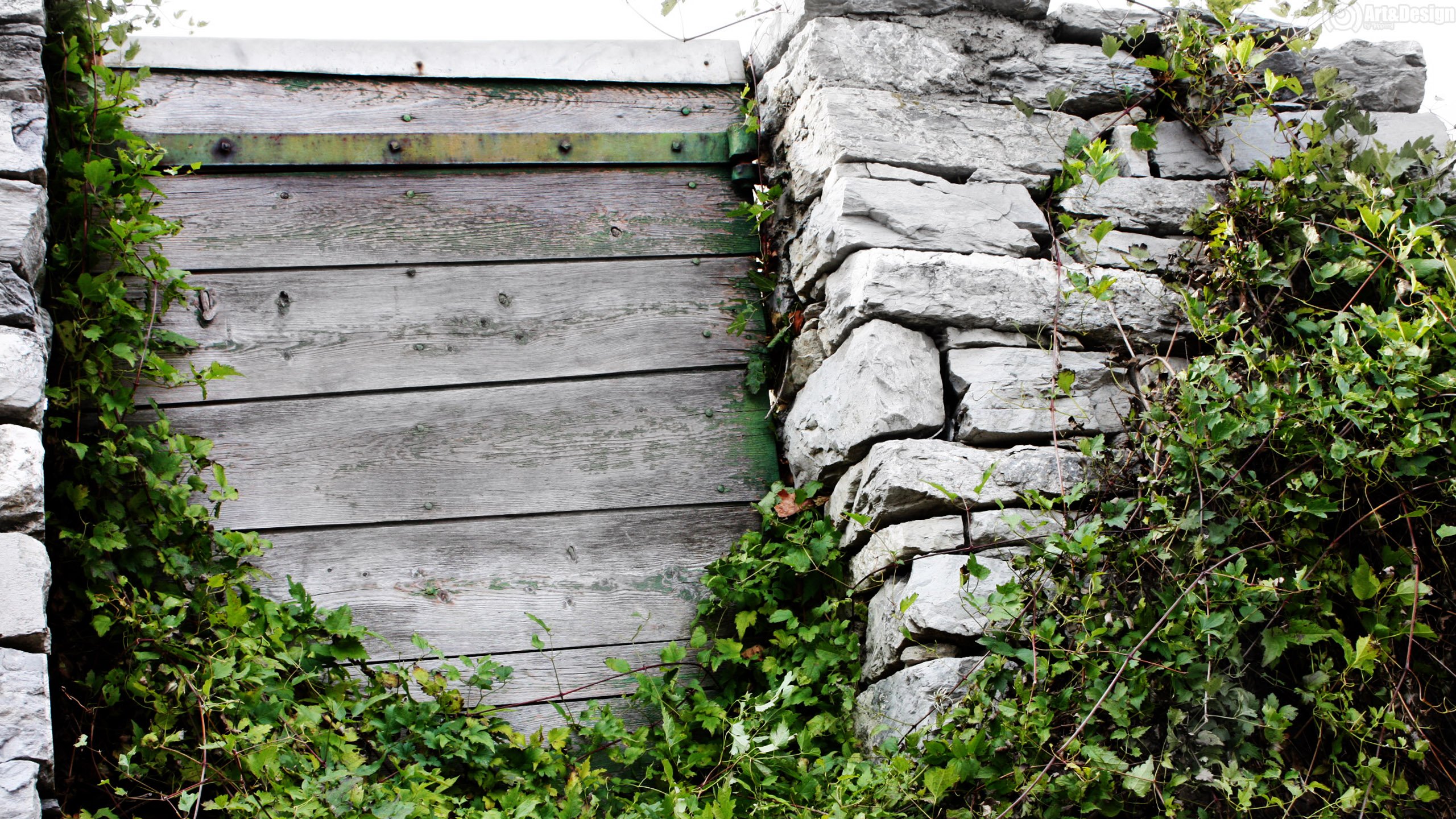 Fonds d'cran Constructions et architecture Portes - Fentres - Porches Porte