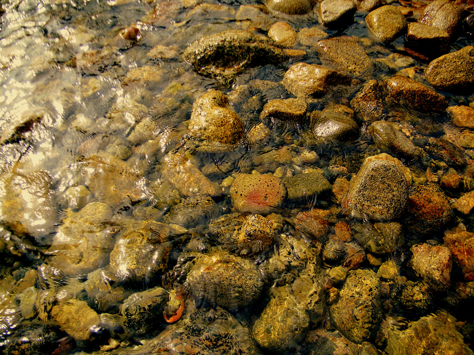 Fonds d'cran Nature Eau gallets