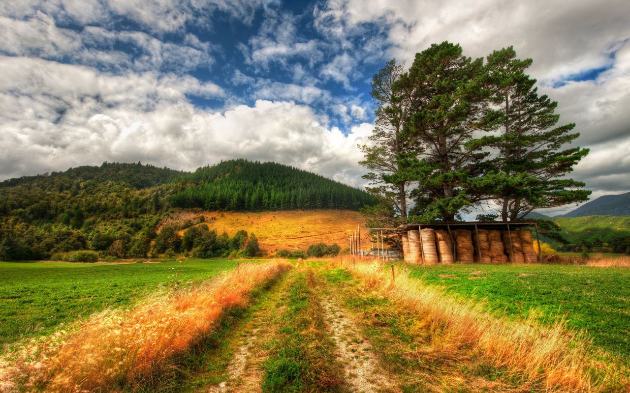 Fonds d'cran Nature Campagne Campagne