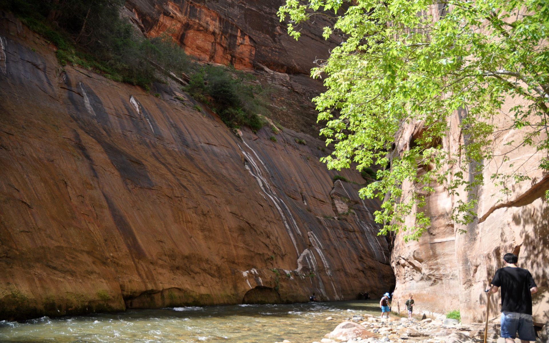 Fonds d'cran Nature Canyons The Narrows (Zion National Park Utah)