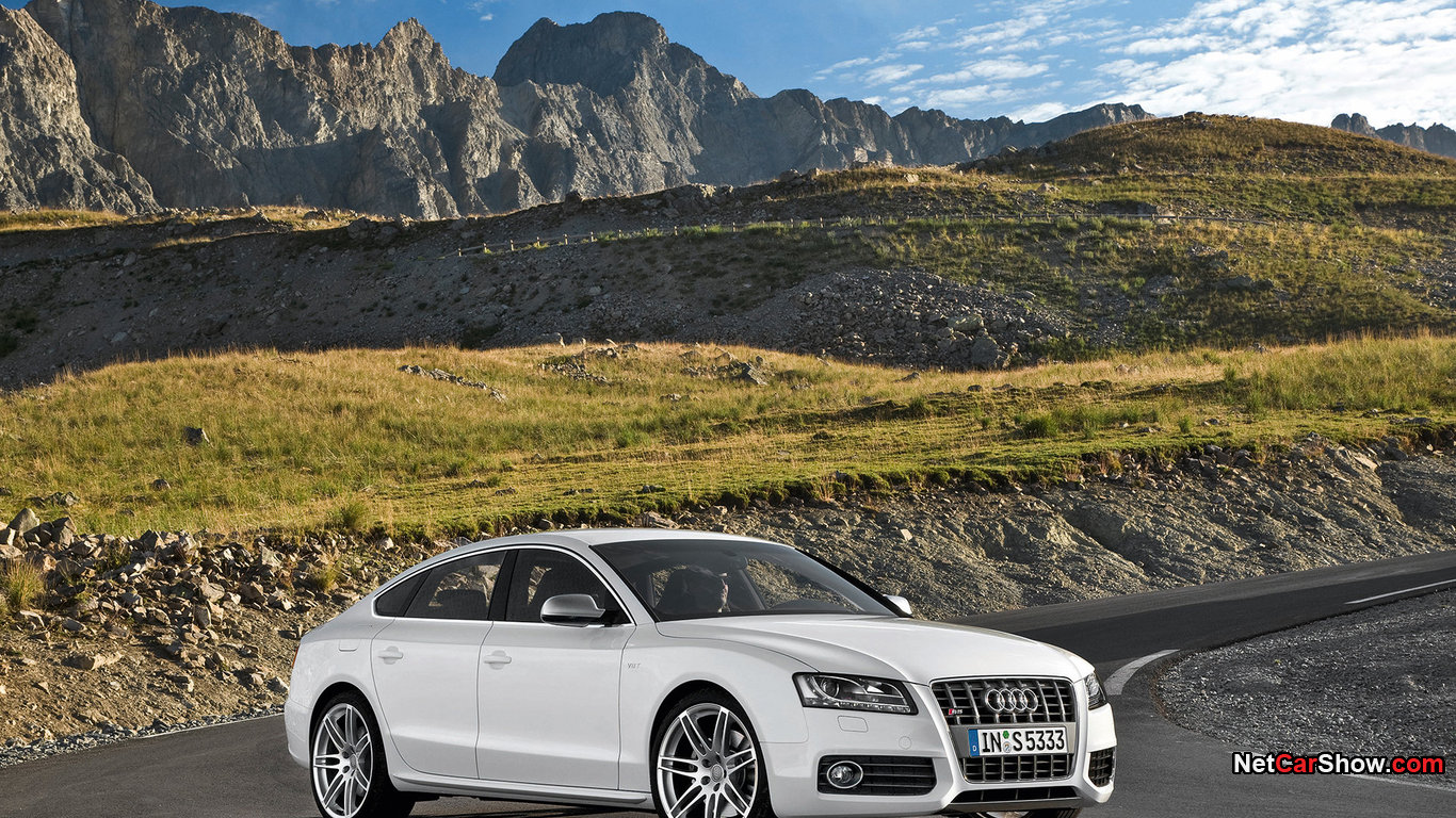 Wallpapers Cars Audi Audi S5 Sport Back