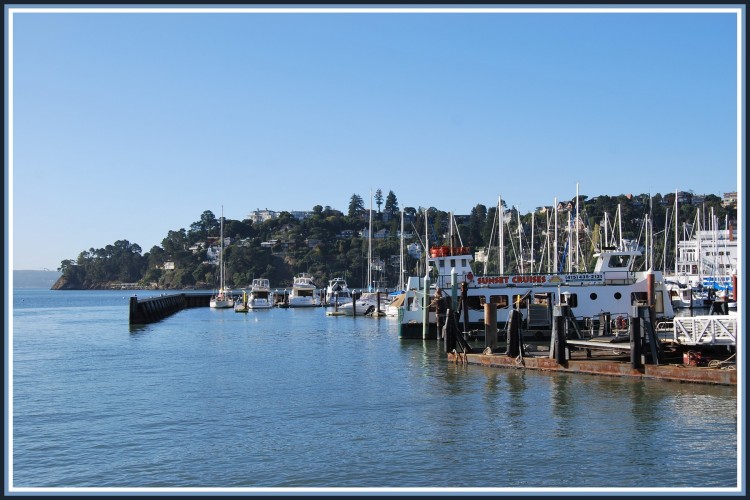 Wallpapers Trips : North America United-States Tiburon (Californie)